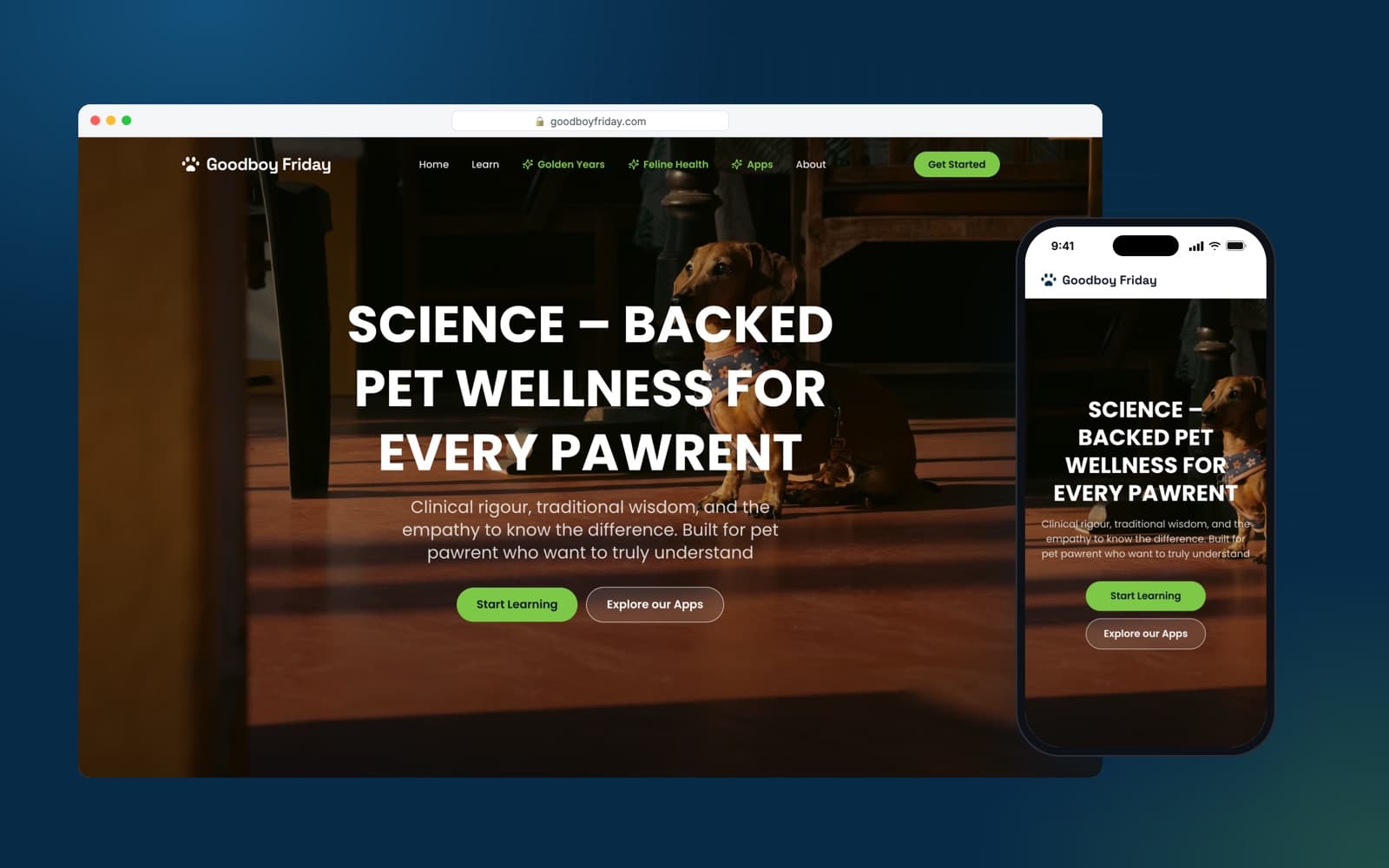 Goodboy Friday homepage with a dog photograph and the headline about science-backed pet wellness